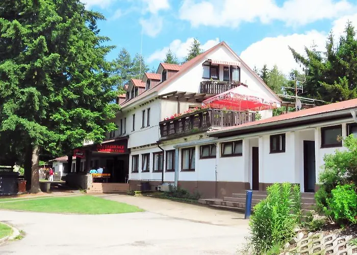 Juniorcamp Nová živohošť Křečovice