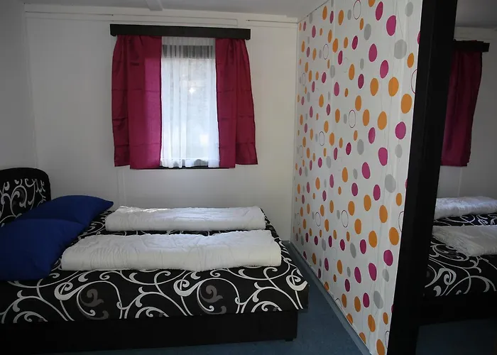 Juniorcamp Nová živohošť