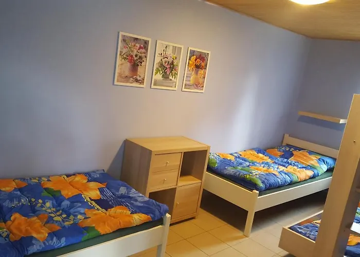 Juniorcamp Nova Zivohost Vakantiepark
